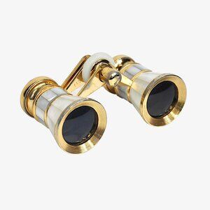 Vintage Mother of Pearl Opera Glasses